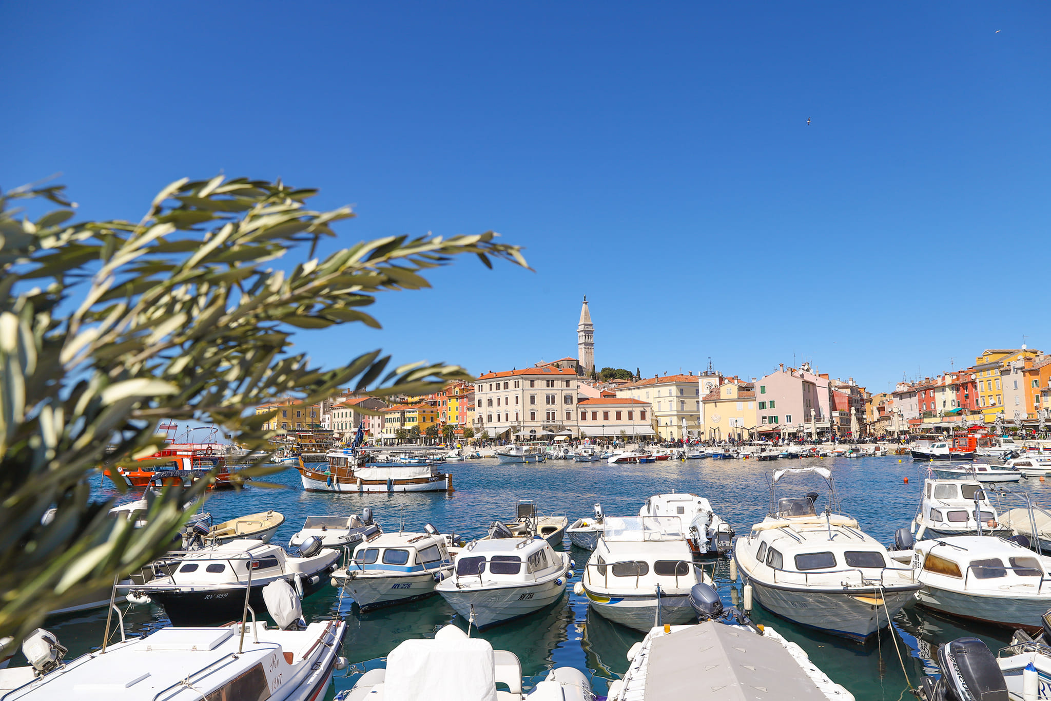 Crkva sv. Eufemije, Rovinj